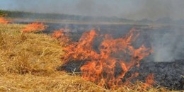 Ֆանտան գյուղի դաշտերում այրվել է մոտ 28 հա խոտածածկույթ