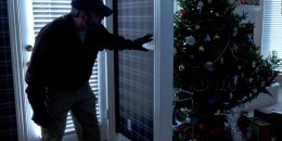 Երևանի քաղաքապետարանի կողմից ուղարկված աշխատակիցները գողացել են թանկարժեք տոնածառ. Shamshyan.com