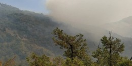 Իջևանի գինու գործարանի մոտակայքի հրդեհը դեռ չի մարվել