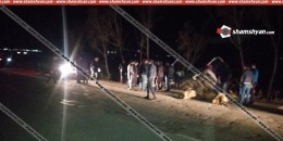 Գեղարքունիքի մարզում 28-ամյա վարորդը Opel-ով վրաերթի է ենթարկել հովվին և մխրճվել ոչխարների հոտի մեջ. shamshyan.com