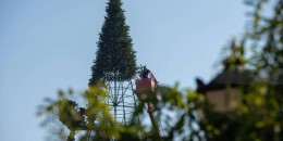 Փողոց կփակվի. Երևանը Ամանորին է պատրաստվում