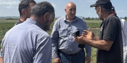 Վերջին տարիներ շարունակ անտեսվել են ՀՀ գյուղատնտեսության կայուն զարգացման ռազմավարությունը. պատգամավոր