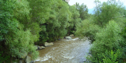 Իջևանում քաղաքացին ընկել է Աղստև գետը