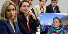 Փաշինյանի թիմը շատ հակառակորդներ ունի՝ սփյուռքի կառույցներ, ներքին ընդդիմություն, ղարաբաղյան կլան, Հայ Առաքելական եկեղեցի. ադրբեջանցի էկոակտիվիստ