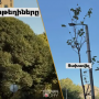 Իշխանության արածը հանցանք է բոլորիդ առողջության նկատմամբ. ավագանի