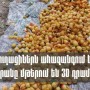 Գյուղացիներն ասում են, որ սպասում են՝ ծիրանը թափվի, որ 30-40 դրամով մթերեն. Գառնիկ Դանիելյան