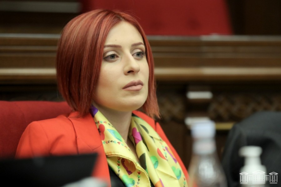 Կարո՞ղ եք հստակ ասել, թե ո՞ր թվականից այլևս չենք ունենա բարձրագույն կրթություն չունեցող պարեկ․ Խամոյանը՝ ՆԳ փոխնախարարին