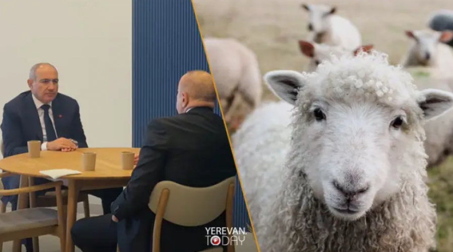 Փաշինյանը ոչխար առ ոչխար վերադարձրել է Ադրբեջանին