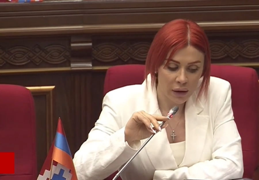 Կալանքը շարունակում է մնալ որպես պատժի միջոց․ Ագնեսա Խամոյան