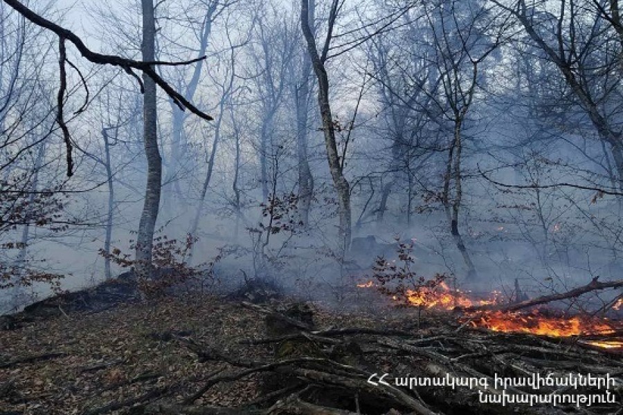 Հրդեհ է բռնկվել Տավուշի «Ճապկուտ» կոչվող հանդամասում