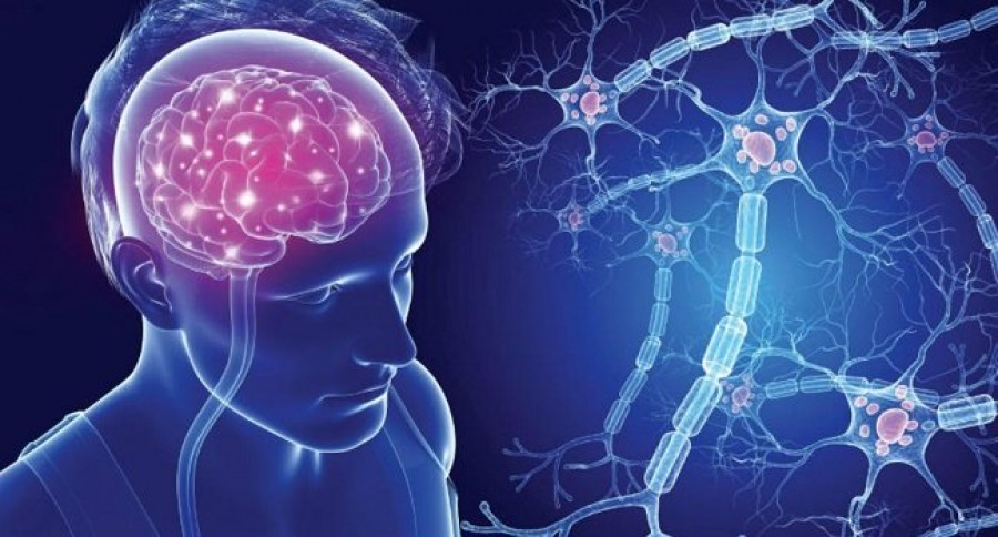 Ինչպե՞ս թեթեւացնել վիճակը ցրված սկլերոզի դեպքում