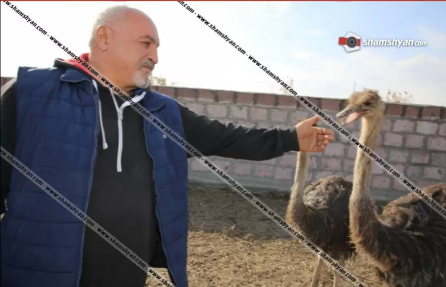 Եվ դարձյալ կրակոց է հնչել․ կա ծայրահեղ ծանր վիրավոր