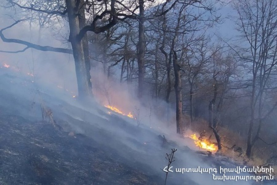 «Դիլիջան ազգային պարկ»-ում մեկ օր առաջ բռնկված հրդեհն այսօր մեկուսացվել է