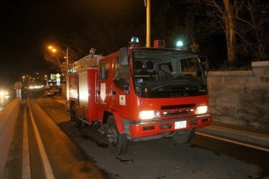 Այրվել է մոտ 250 հակ անասնակեր