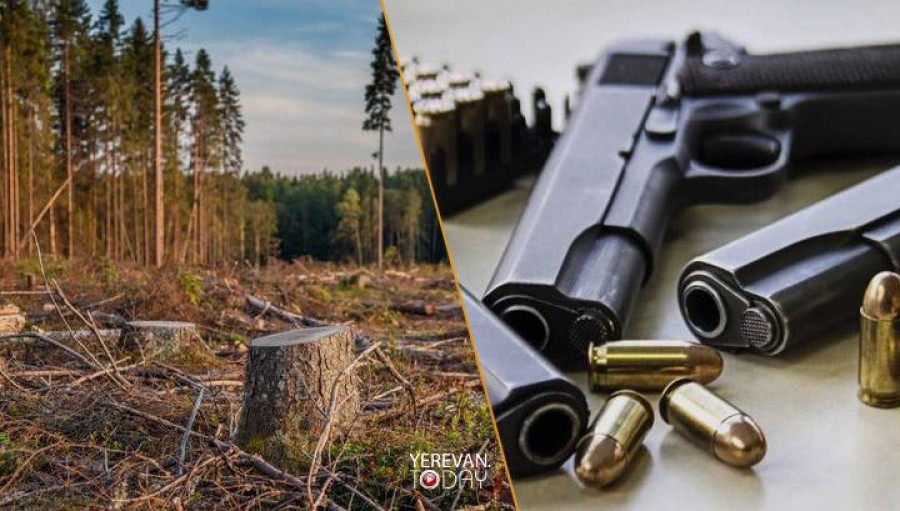 Ոստիկանության պաշտոնատար անձ կաշառք է ստացել ապօրինի հատված փայտանյութի տեղափոխման դիմաց