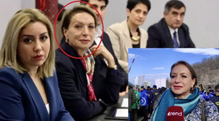 Փաշինյանի թիմը շատ հակառակորդներ ունի՝ սփյուռքի կառույցներ, ներքին ընդդիմություն, ղարաբաղյան կլան, Հայ Առաքելական եկեղեցի. ադրբեջանցի էկոակտիվիստ