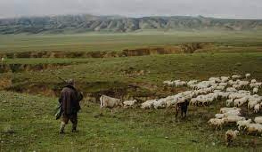 Գանձակ գյուղում չեն կարողացել կապ հաստատել սար բարձրացած հովիվի հետ. որոնումներին միացել են գյուղացիները